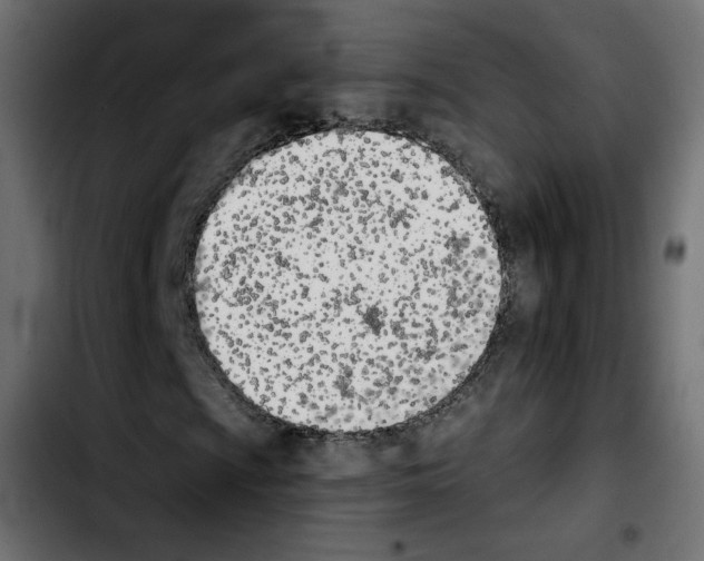 X0000103931009200810311512