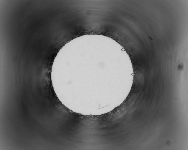 X0000103931010200810311512
