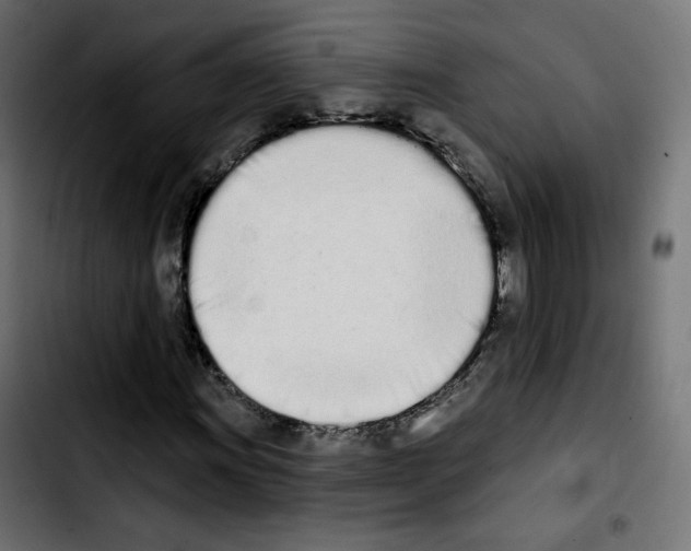X0000103931011200810311512