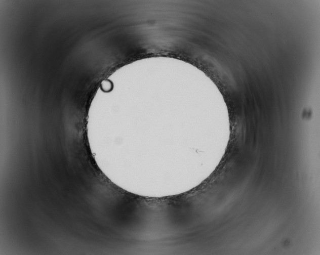 X0000103931012200810311512