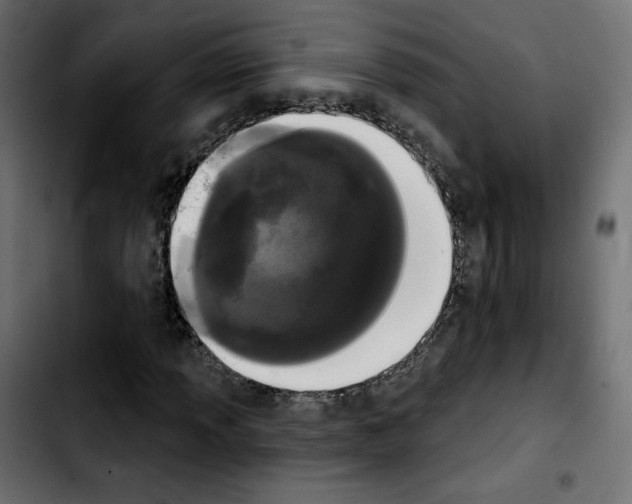 X0000103931013200810311512