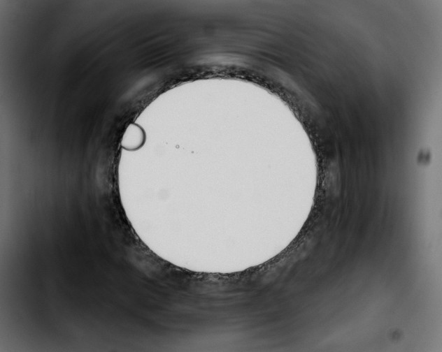 X0000103931014200810311512
