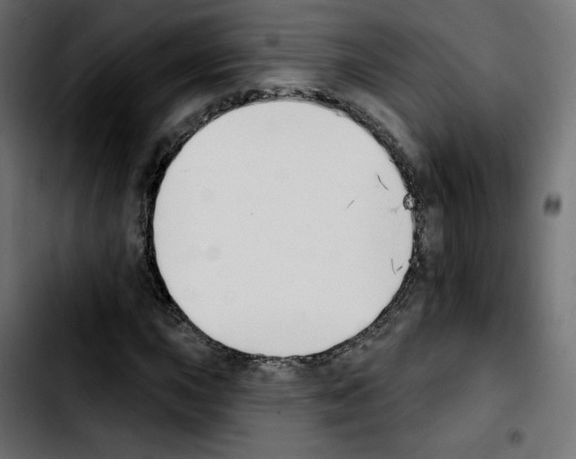X0000103931015200810311512