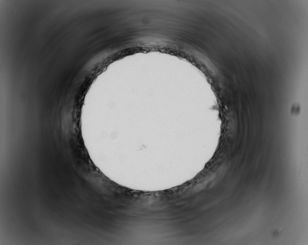 X0000103931016200810311512