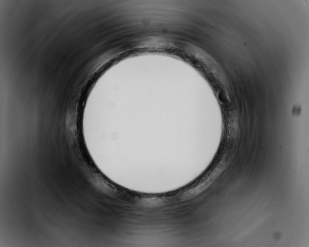 X0000103931017200810311512