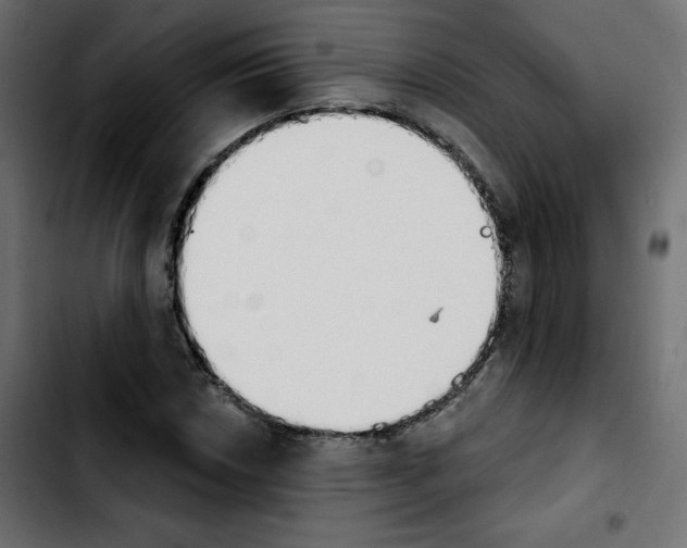 X0000103931018200810311512