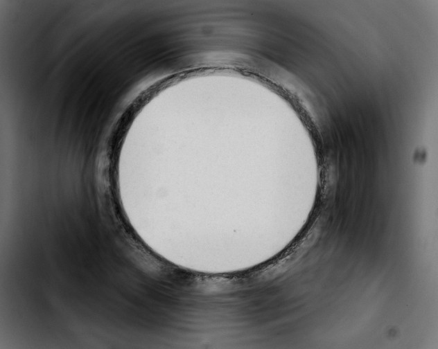 X0000103931019200810311512