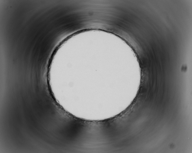 X0000103931020200810311512