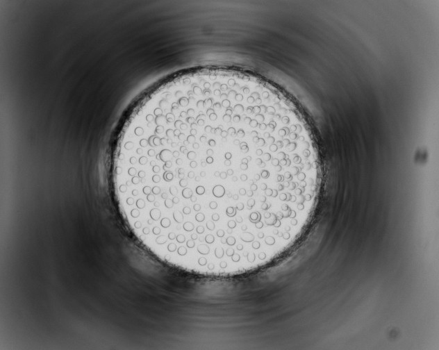 X0000103931021200810311512