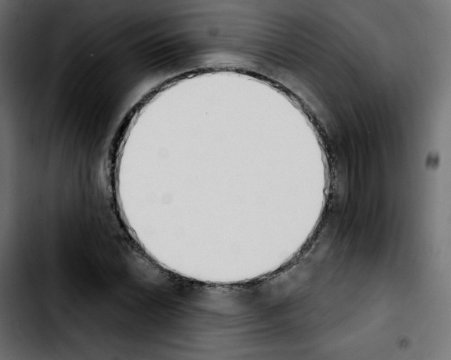 X0000103931022200810311512
