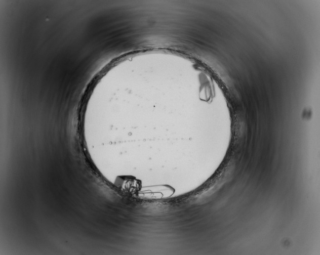 X0000103931023200810311512