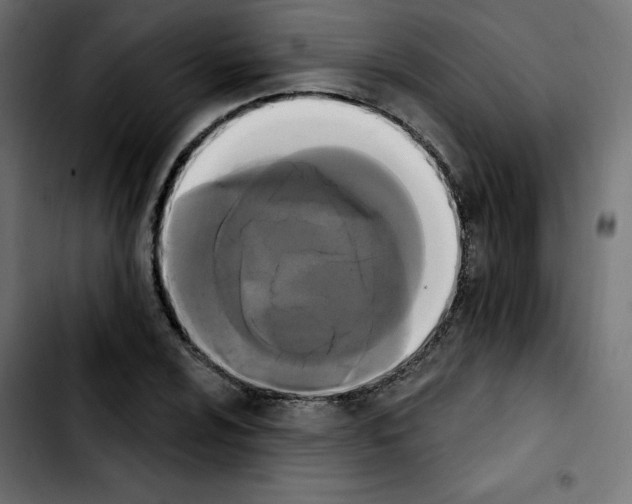 X0000103931024200810311512