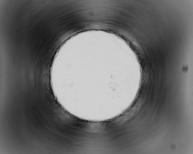 X0000103931025200810311512