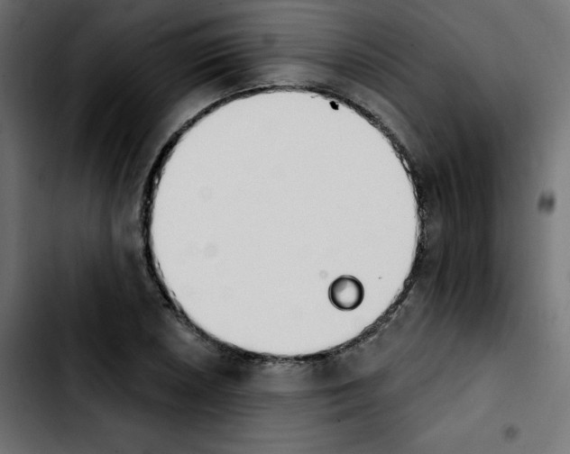 X0000103931026200810311512