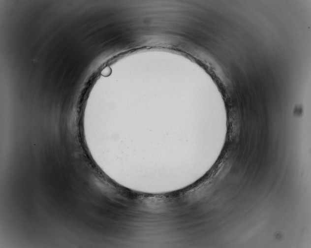 X0000103931027200810311512
