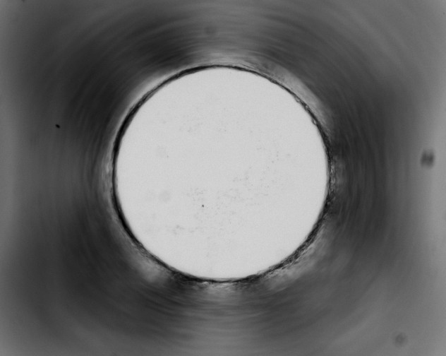 X0000103931028200810311512