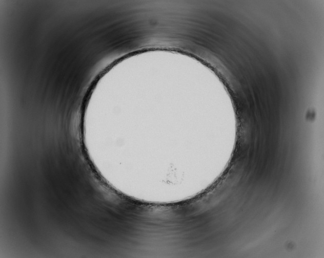 X0000103931030200810311512