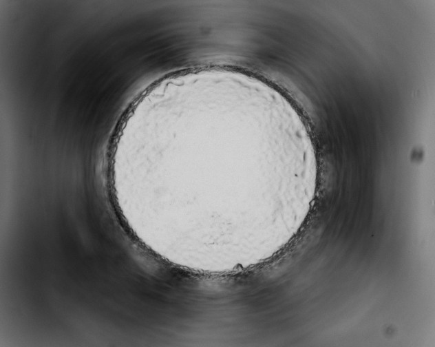 X0000103931031200810311512