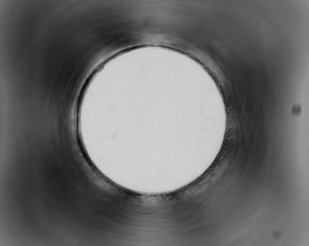 X0000103931032200810311512