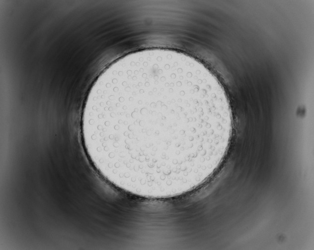 X0000103931033200810311513