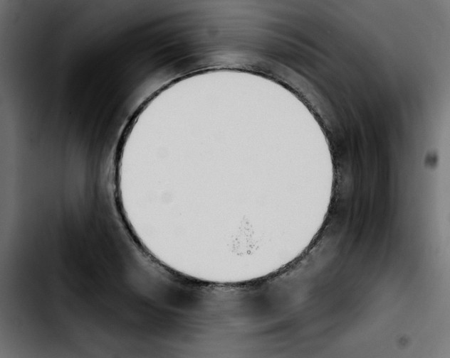 X0000103931034200810311513