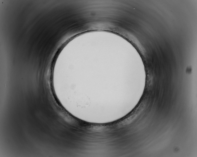 X0000103931035200810311513
