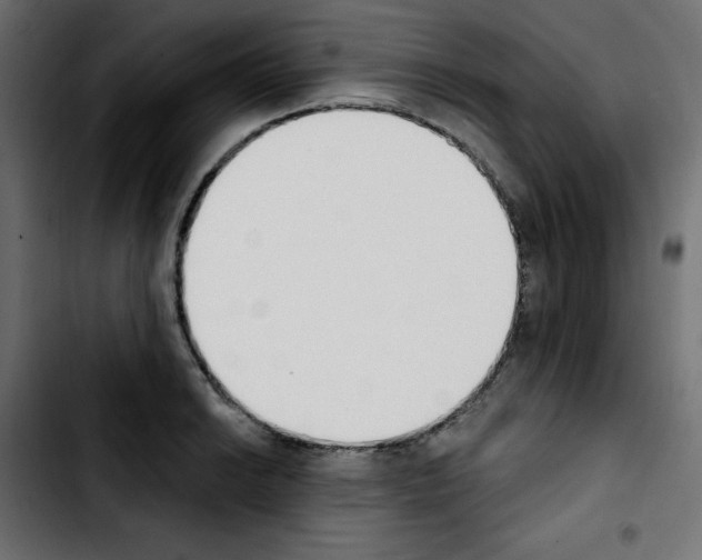 X0000103931038200810311513