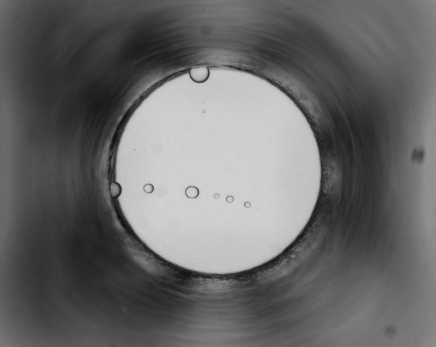 X0000103931039200810311513