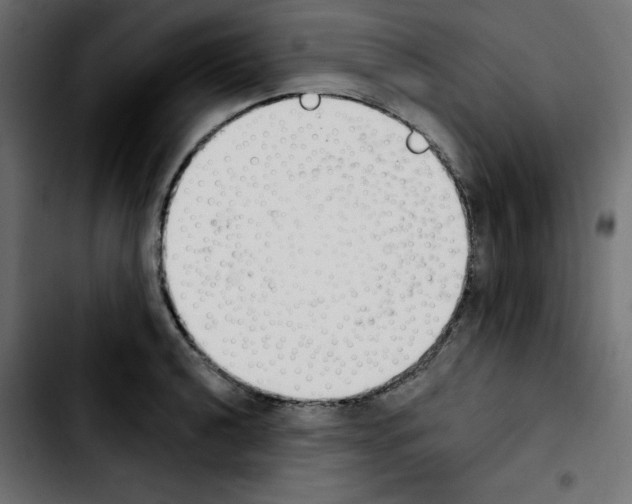 X0000103931040200810311513