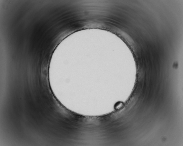 X0000103931041200810311513