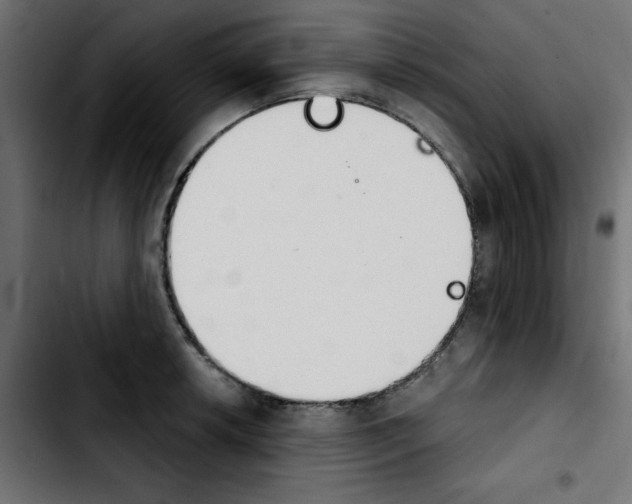 X0000103931042200810311513