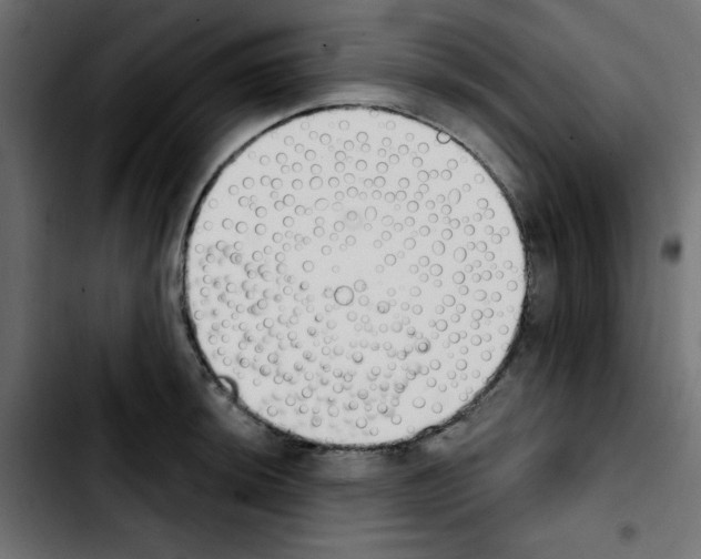 X0000103931044200810311513