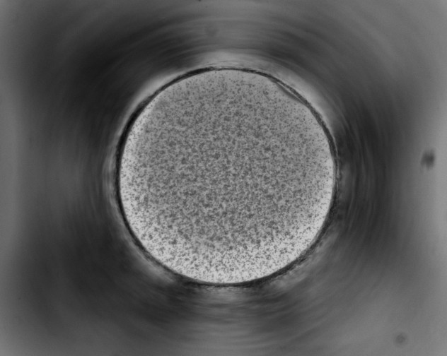 X0000103931045200810311513