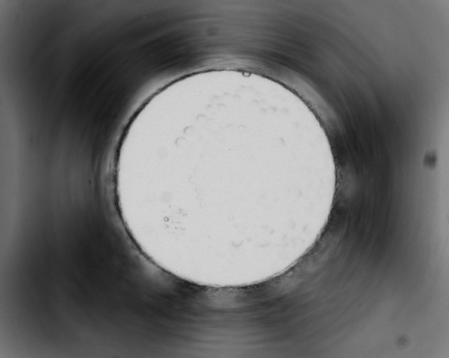 X0000103931046200810311513