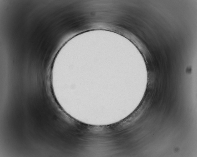 X0000103931048200810311513