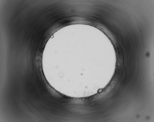 X0000103931049200810311513