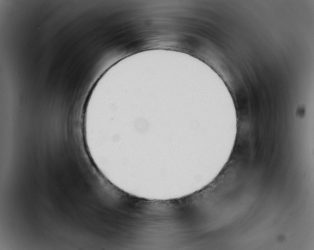 X0000103931050200810311513