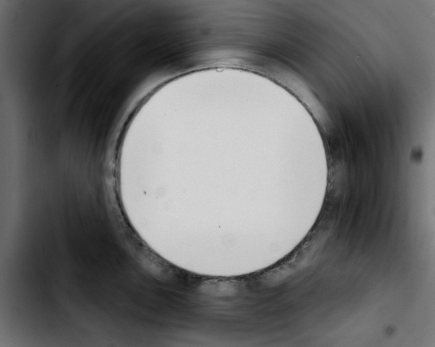 X0000103931051200810311513