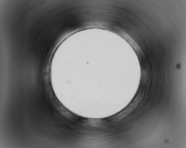 X0000103931052200810311513