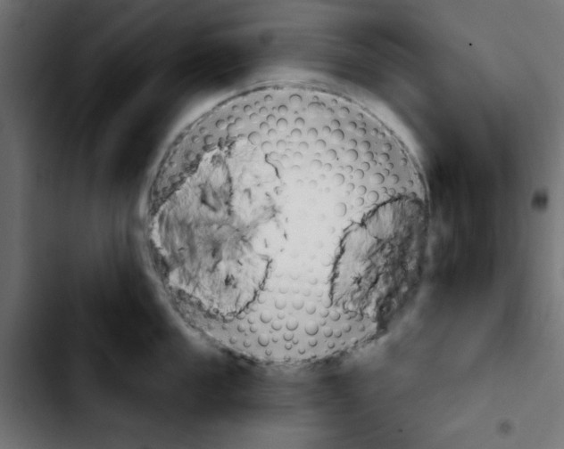 X0000103931053200810311513