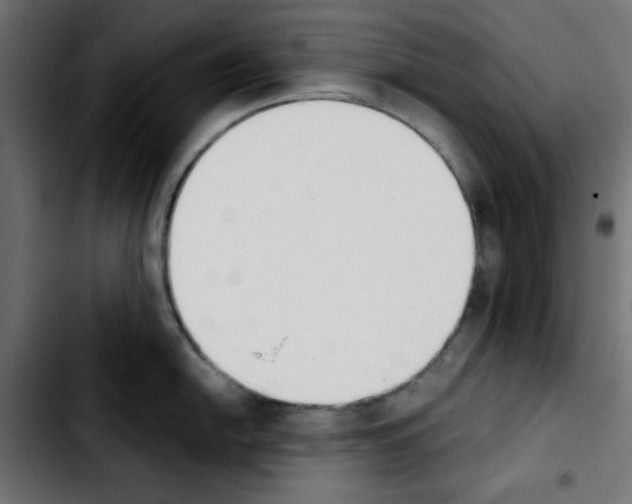 X0000103931054200810311513