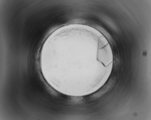 X0000103931055200810311513