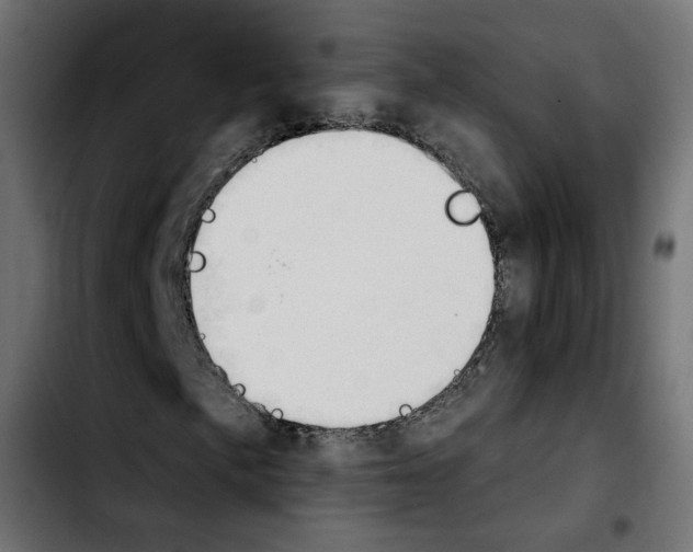 X0000103931057200810311512