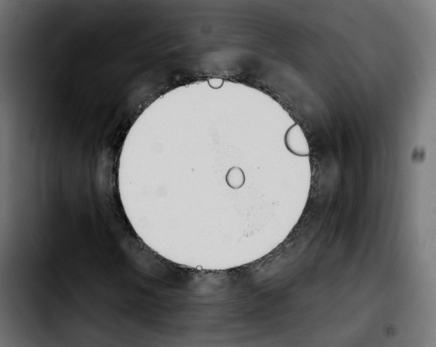 X0000103931058200810311512