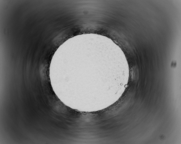 X0000103931059200810311512