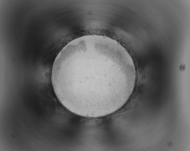 X0000103931060200810311512