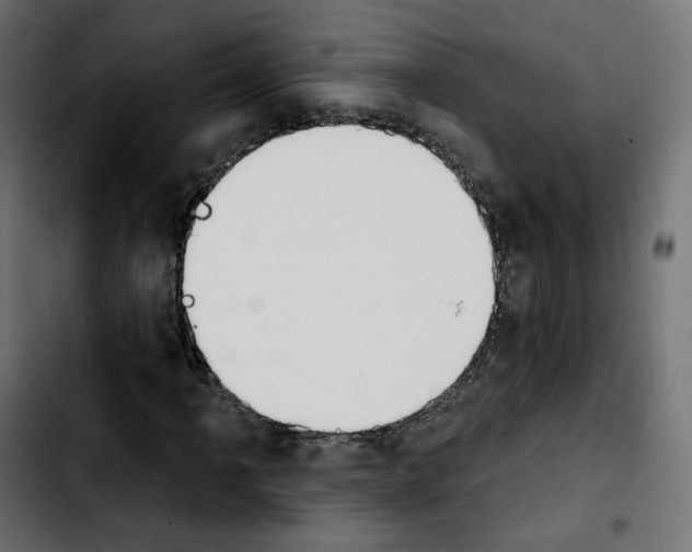 X0000103931061200810311512