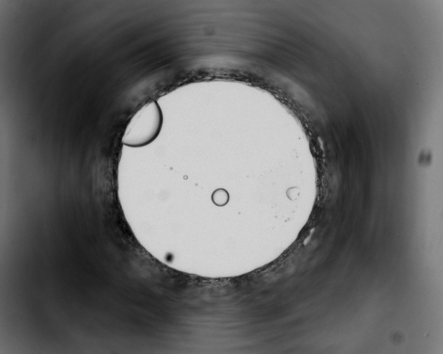 X0000103931062200810311512