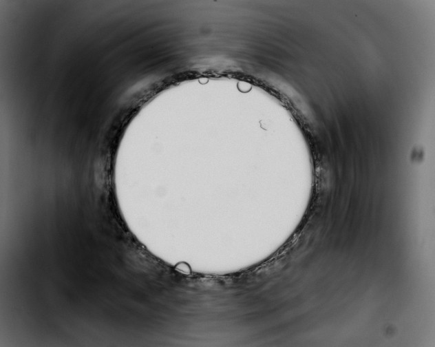 X0000103931063200810311512