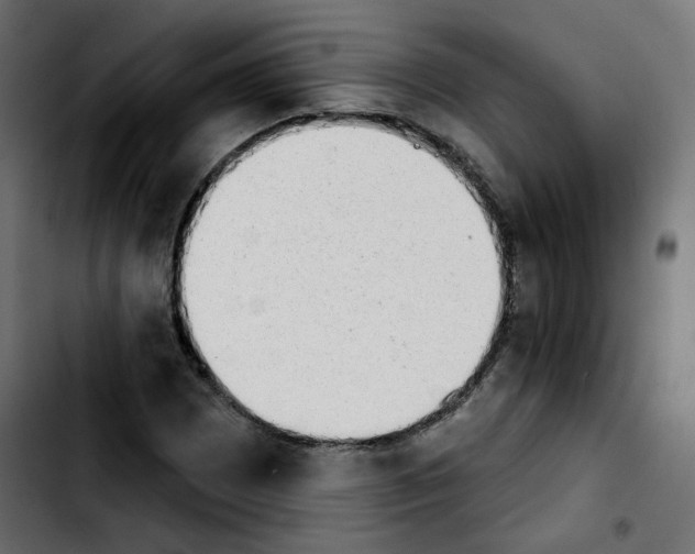 X0000103931065200810311512